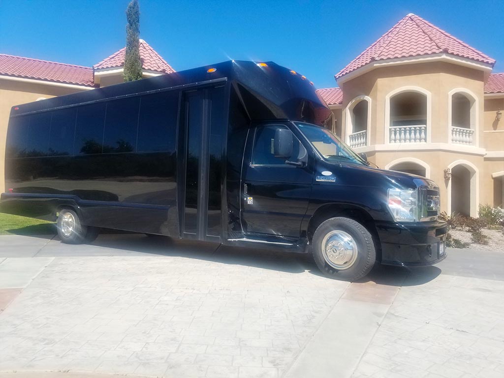 16 Passenger Party Bus