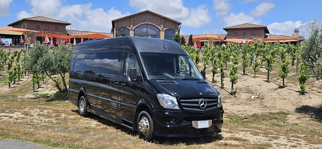 Vineyard Limousine - Sprinter Party Bus Rental