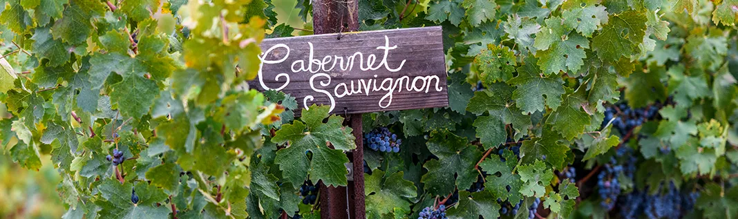 Cabernet sign in a winery in Temecula