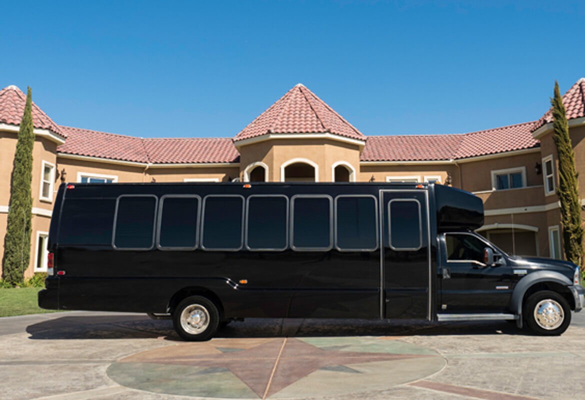 20 Passenger Luxurious Party Bus